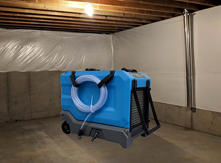 Hazards of Damp Basements.png