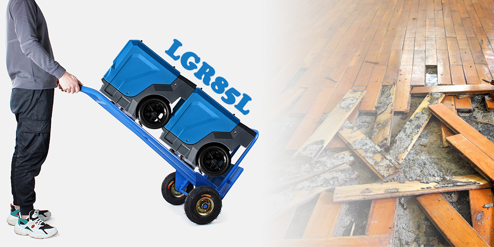 Lgr85l Low Grain Dehumidifier for Water Damaged House