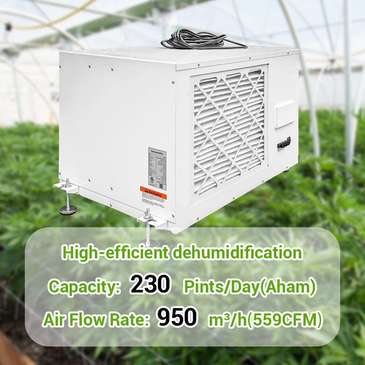 PRO230 Best Commercial Dehumidifier for Grow Room