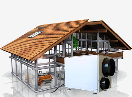 Does the Dehumidifier Kill Mold Preair