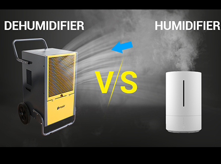 Choose A Dehumidifier or A Humidifier?