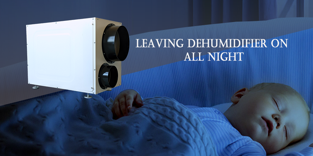 Wh95 Quiet Dehumidifier for Home All Night