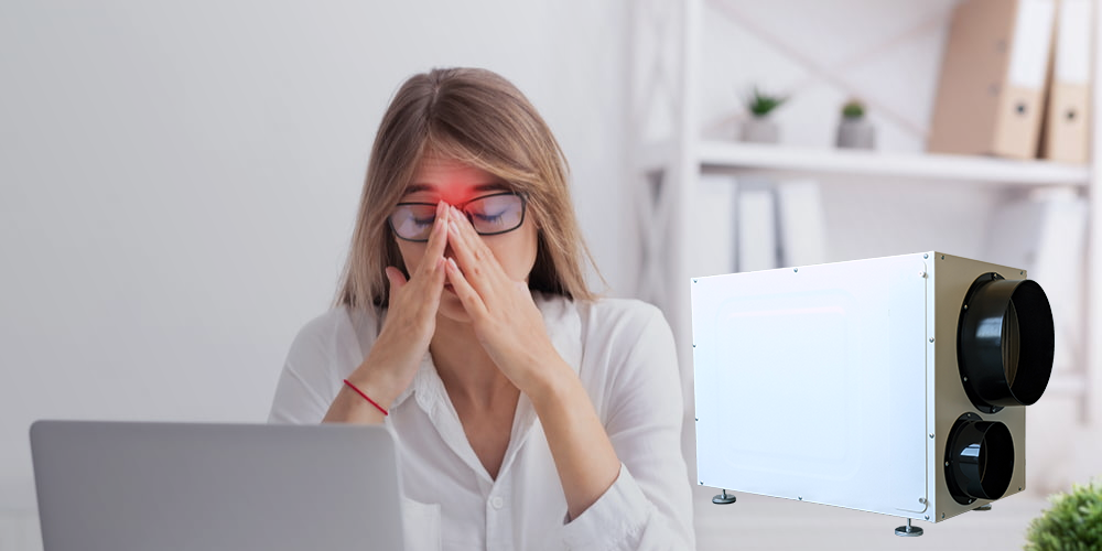 Wh95 Whole Home Dehumidifier for Sinus Problems
