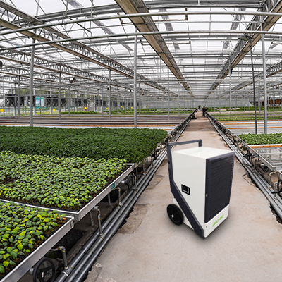 Pro165 Greenhouse Dehumidifier Wholesale