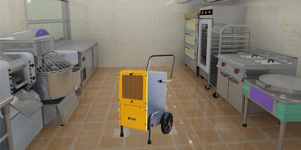 Pr50 Commercial Dehumidifier for Kitchen Room for Sale