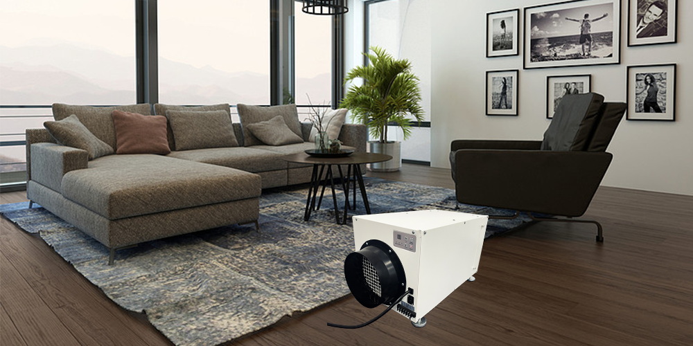 Wh70 Home Dehumidifier for Sale