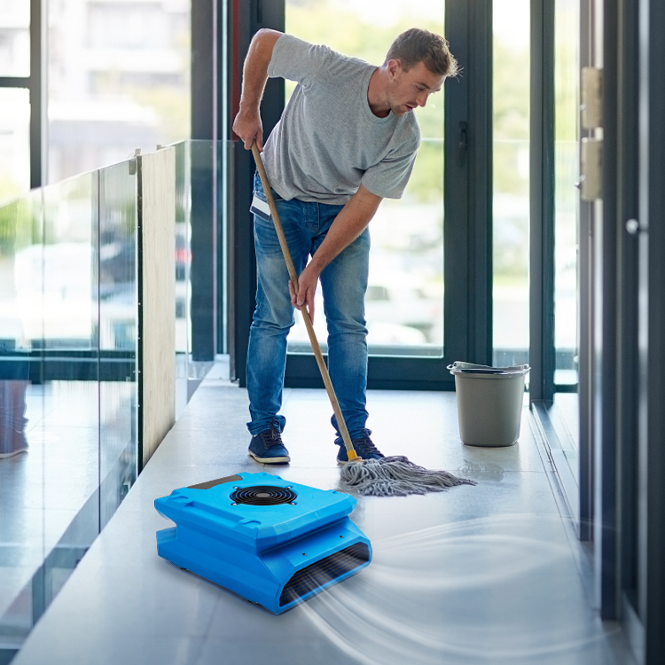 Application of Am30lo Floor Blower Dryer