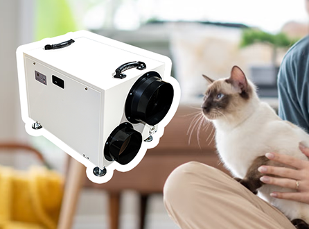 Do Households with Pets Need Dehumidifiers?