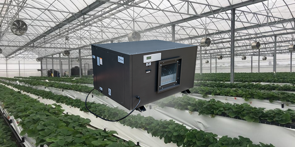 Preair Efficient Dehumidifier for Greenhouse