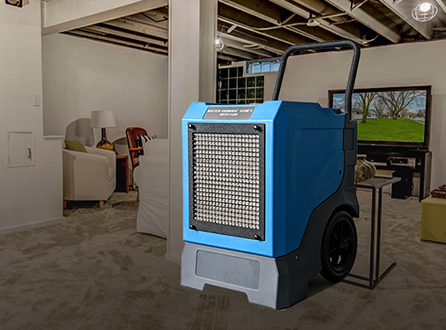 Will a Dehumidifier Help with Musty Basement Smell.png