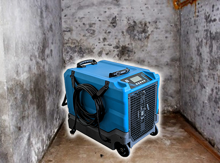 Various Consequences Brought by the Humidity Problemina Basement.png