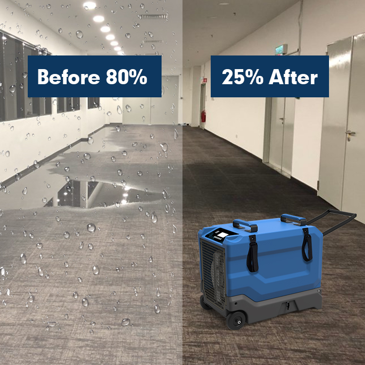 Wholesale ALGR65 Dehumidifier For water Fire Damage Restoration With Rotomolding Plastic Housing