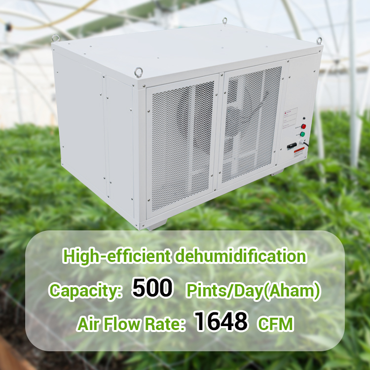 Pro500 Greenhouse Dehumidifier Wholesale
