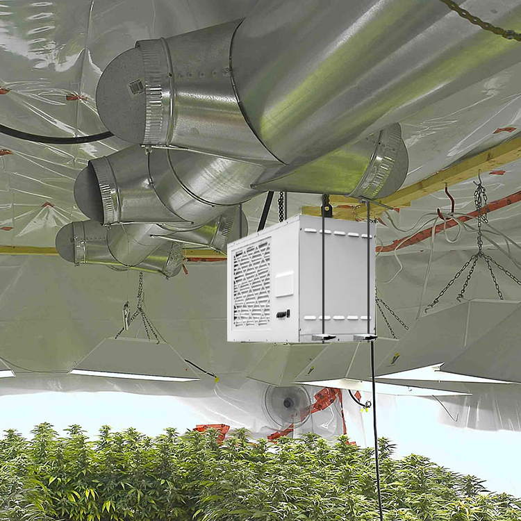 Buy PRO230 Dehumidifier for a Grow Tent Wholesale
