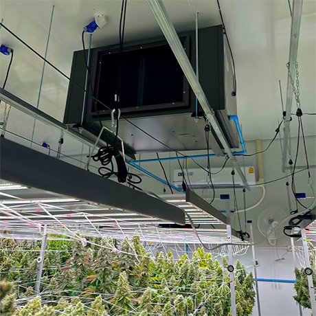 Zeta 480 Industrial Dehumidifier for Cannabis Growth