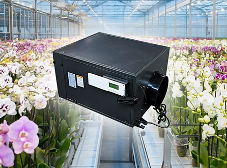 Humidity-Control-of-the-Butterfly-Orchid-Greenhouse.png