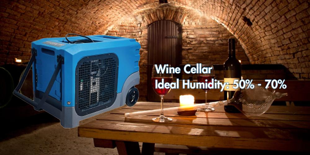 Algr90 Cellar Dehumidifier for Humidity Control