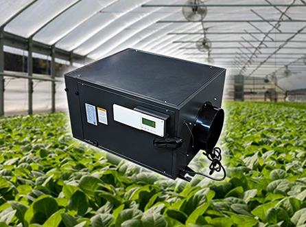 Managing-Humidity-in-Modern-Agriculture.png