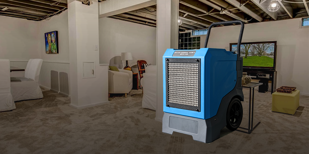 Lgr85l Dehumidifier for Smelly Basement