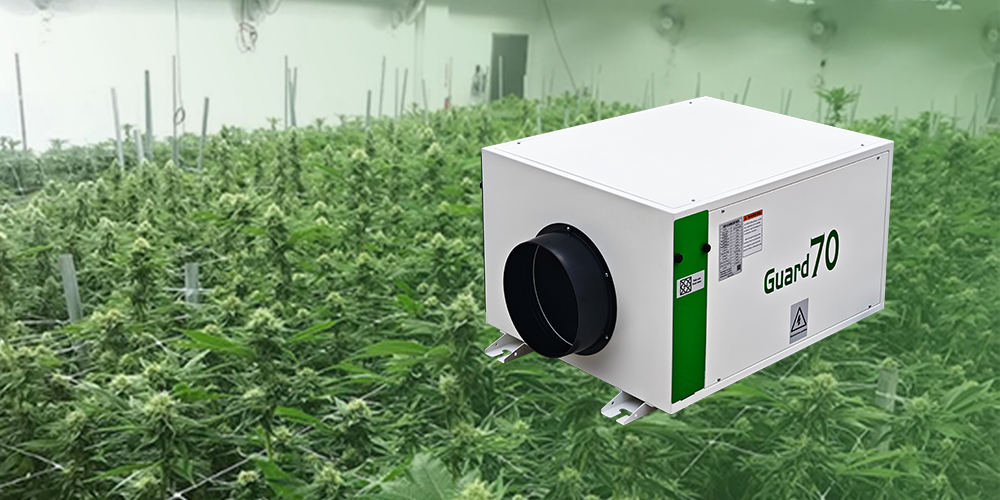 Guard70 Ceiling Mounted Dehumidifier for Grow Room