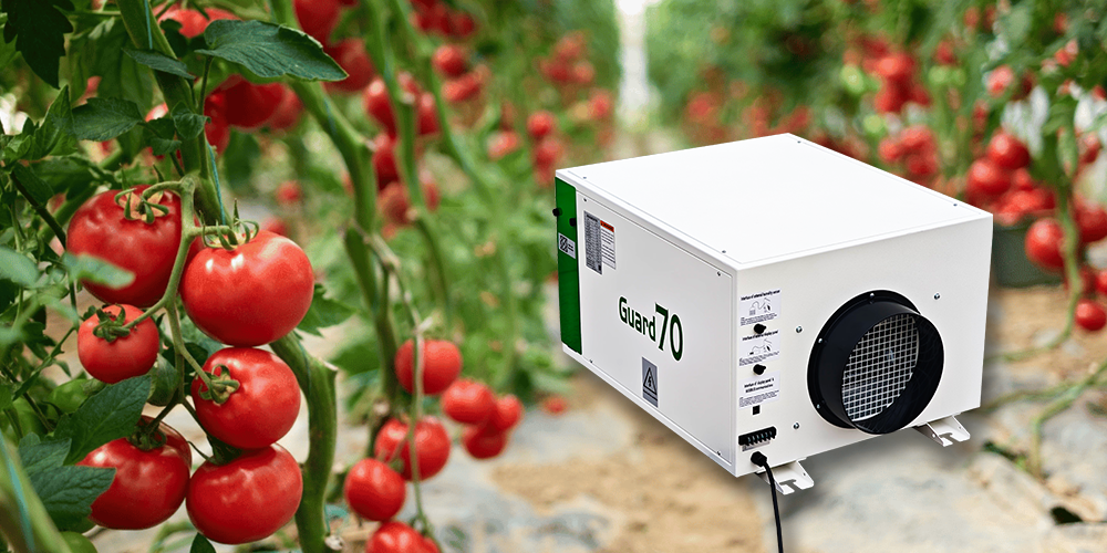 Guard70 Commercial Dehumidifier for Indoor Cultivation