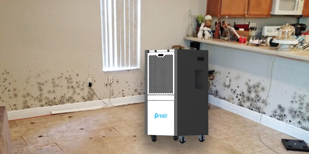 Ht501 Commercial Dehumidifier for Mold Removal
