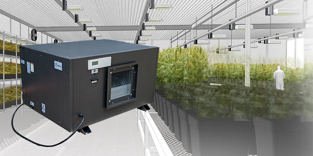 Zeta480 Industrial Grade Dehumidifier for Grow Room Plant