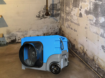 Mold-Prevention-Dehumidifier-in-Australia.png