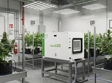 How to Size the Dehumidifier for a Dry Room?