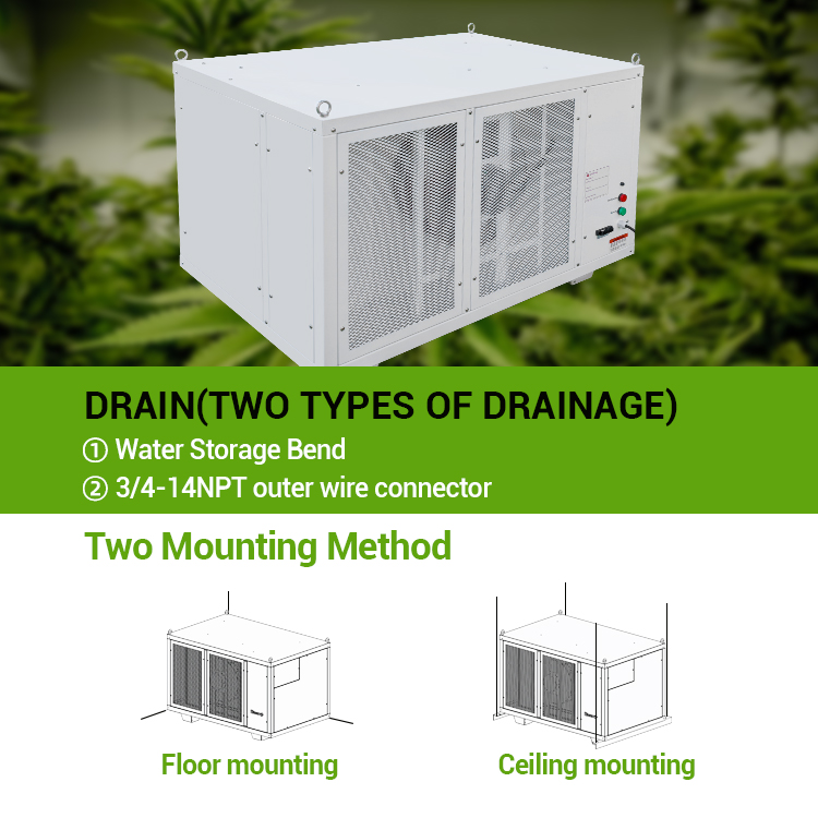 Pro500 Ceiling Dehumidifier for Grow Tent with Continuous Drainage