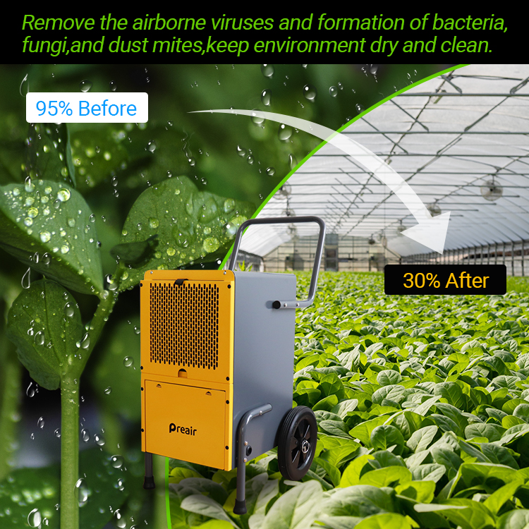 Pr50 Commercial Greenhouse Dehumidifier Wholesale