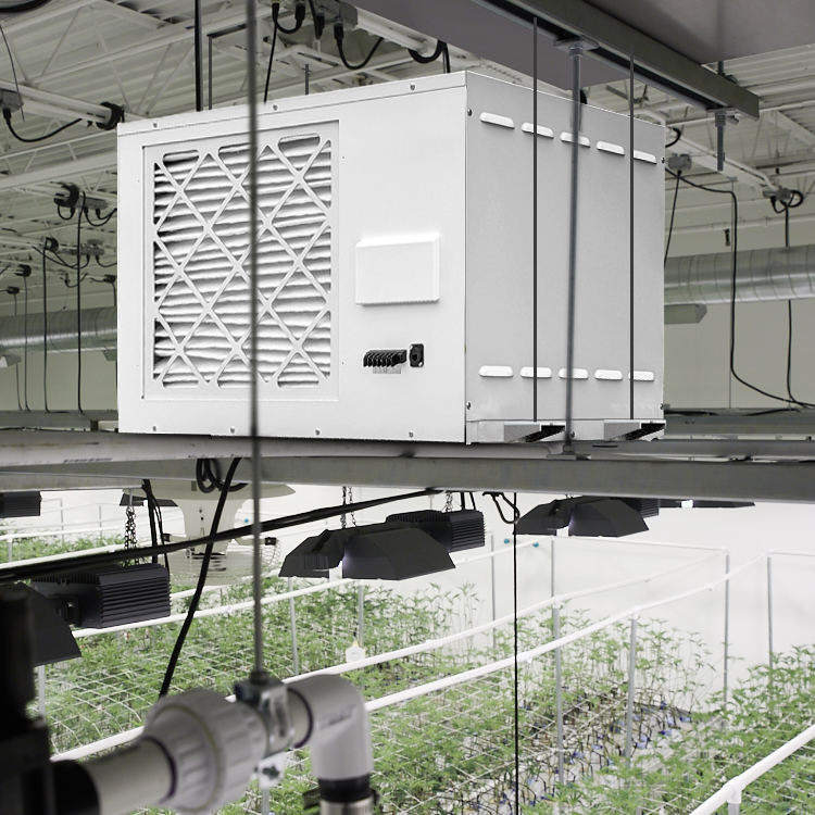 PRO230 Dehumidifier for a Grow Tent