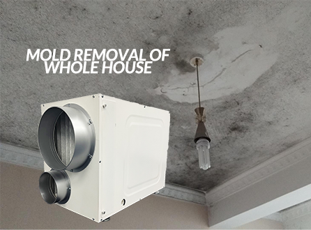 Why Your Whole-House Dehumidifier Can’t Keep Up?