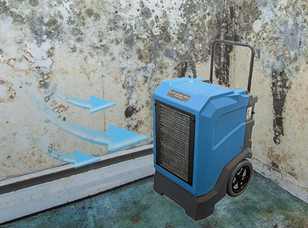 Dehumidifier-to-Dry-out-Walls.png