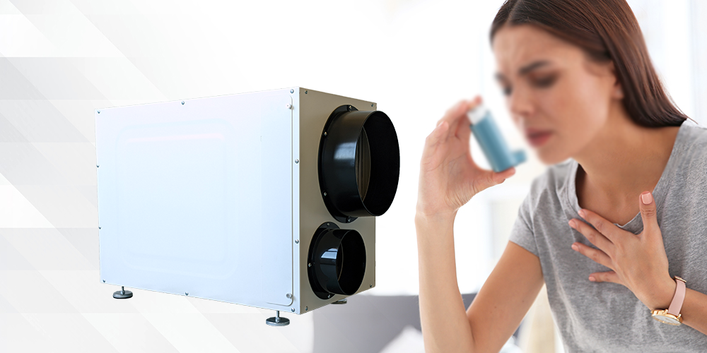Wh95 Whole House Dehumidifier for Asthma