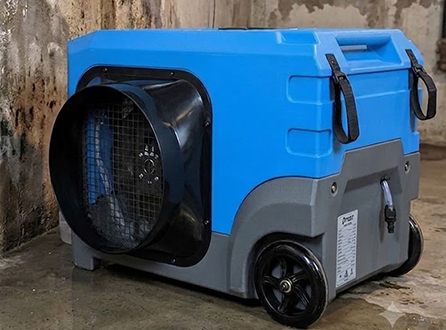 Will a Dehumidifier Help with Condensation on Walls?