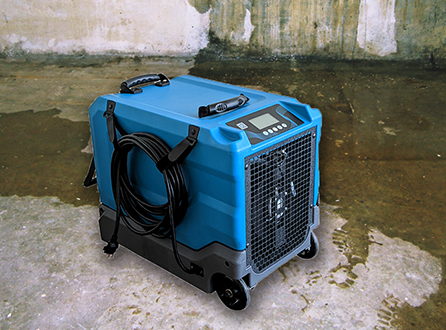 LGR-Dehumidifier-for-Damp-Basement-During-Rainy-Season.png