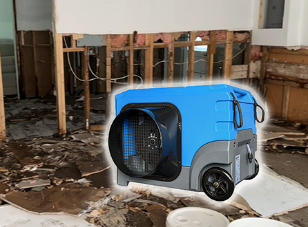 Tips for Dehumidification to Cope with the Rainy Season in Australia.png