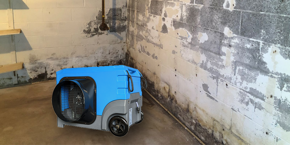 Algr110 Dehumidifier for Mold Basement in Australia