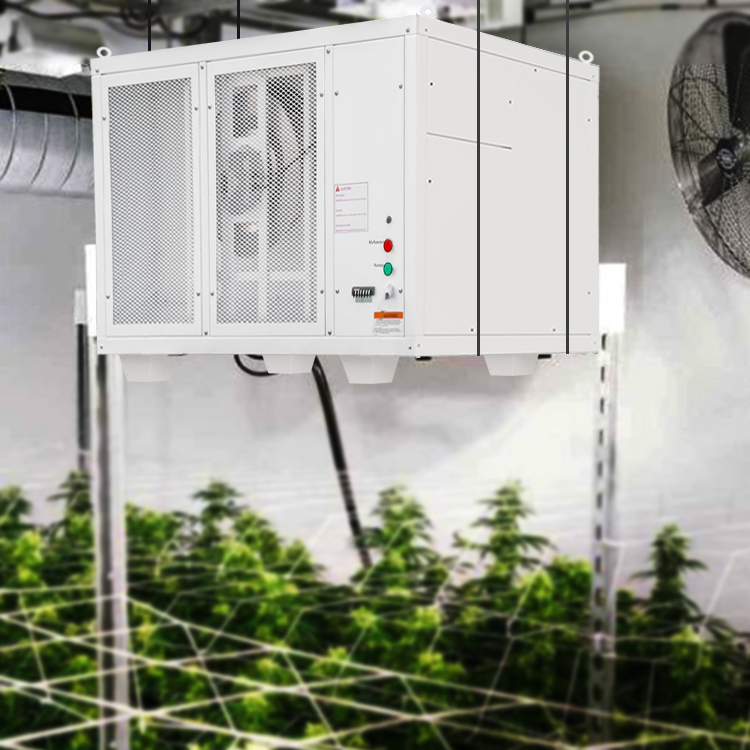 Pro500 Dehumidifier for Greenhouse Dehumidification