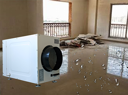 Can-a-Dehumidifier-Work-in-a-Cold-Room.png