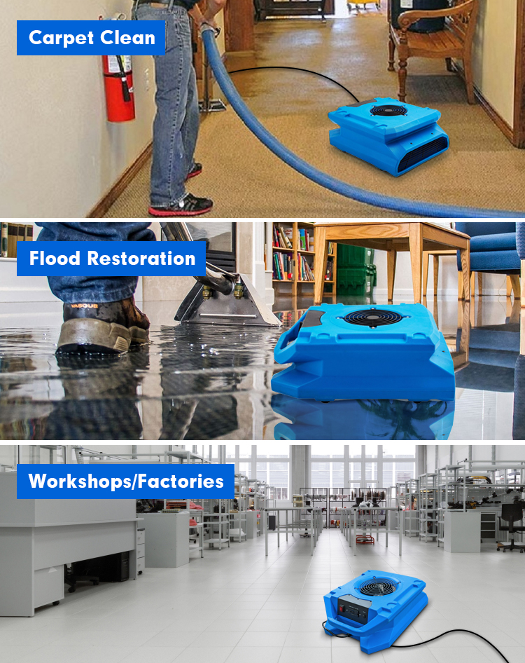 Application of Am30lo Floor Drying Fan