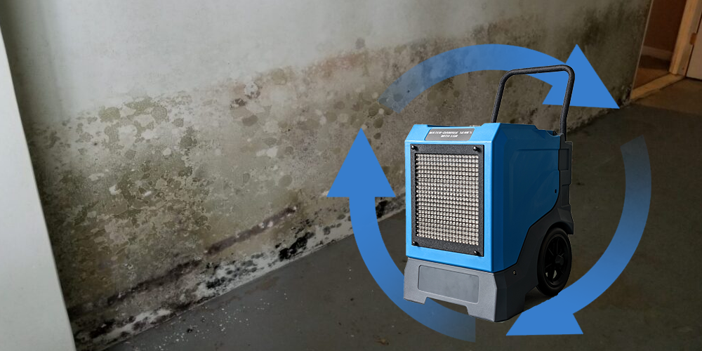 Lgr85l High Efficient Dehumidifier for Mold Basement