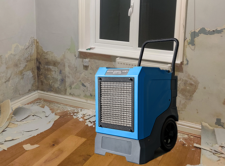 Will-Dehumidifier-Dry-out-Damp-Walls.png