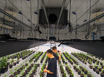 Where-Is-the-Best-Place-to-Install-Dehumidifiers-in-a-Grow-Room.png