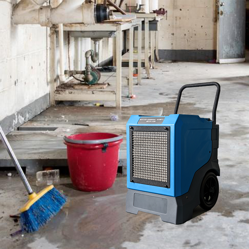 Algr65l Dehumidifier for Wet Basement